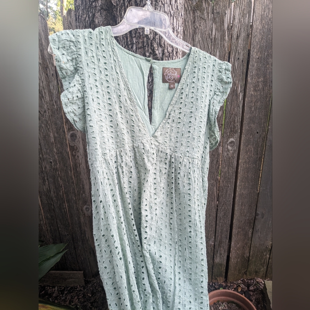 XL Southern Fried Chics Dress